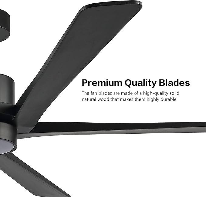 WINGBO 54" DC Ceiling Fan with Lights, 5 Carved Solid Wood Blades, 6-Speed Reversible DC Motor, Matte Black Finish Ceiling Fan with Remote, Black