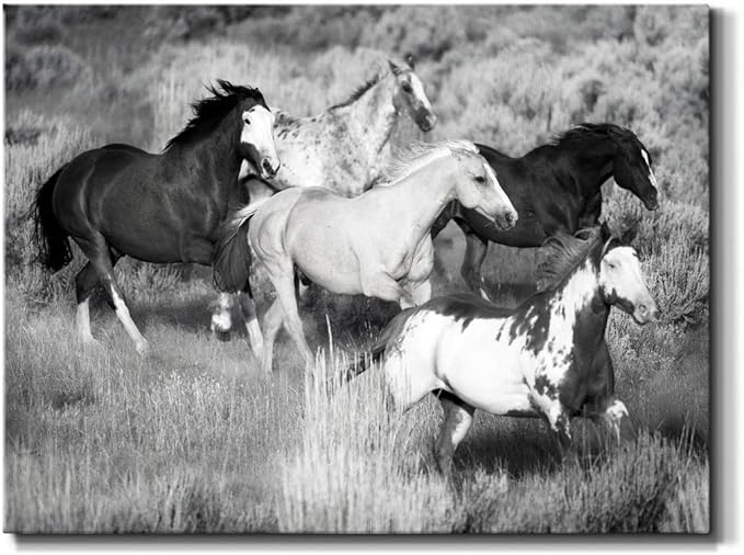 Renditions Gallery Canvas Animal Wall Art Modern Decorations Paintings Running Vintage Horses Black & White Nature Wall Hanging Artwork Prints for Bedroom Office Kitchen - 32"x48" LT33