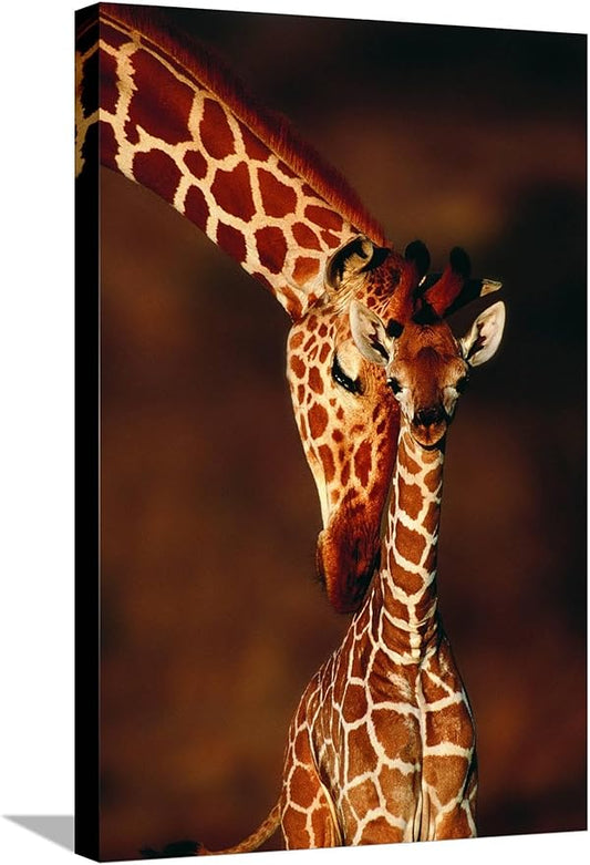 Canvas Wall Art Prints Giraffe and Baby by Lantern Press, Animals Decor, 16" x 24"