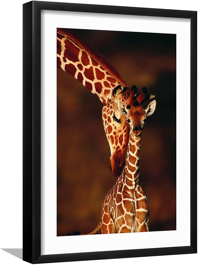 Framed Wall Art Prints Giraffe and Baby by Lantern Press, Animals Decor, 12" x 18", Black Frame with White Mat