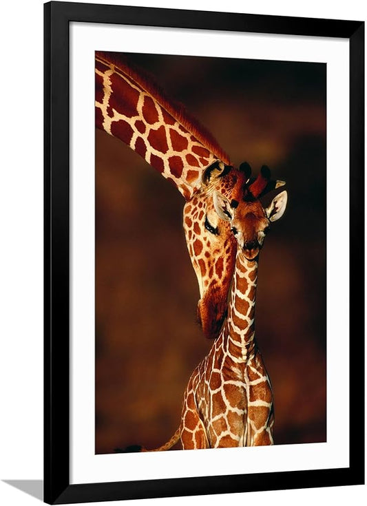 Framed Wall Art Prints Giraffe and Baby by Lantern Press, Animals Decor, 24" x 36", Black Frame with White Mat